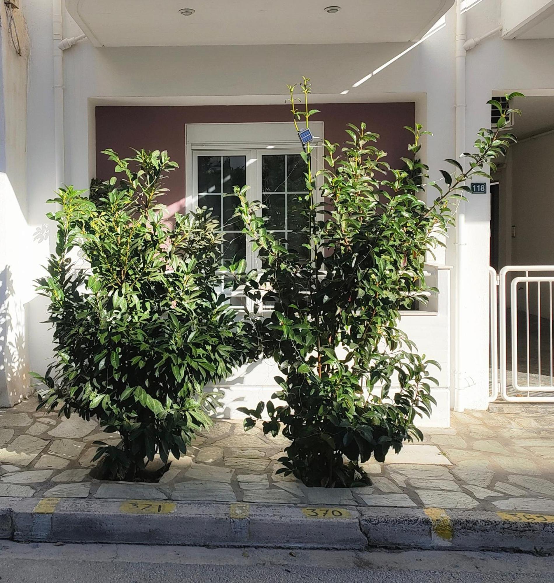 Home Volos Exterior photo